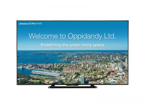 90 Inch Display - Sharp PNQ901E (new) purchase