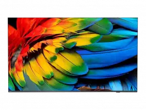 Close-up of a vibrant parrot’s red, yellow, green, and blue feathers displayed on a modern flat-screen hotel TV with a thin black bezel—ideal for hotels seeking high-quality televisions to enhance guest experiences.