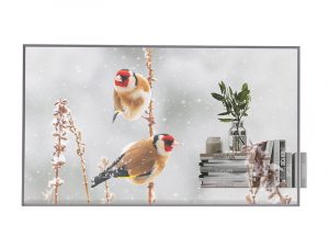 55 Inch Display - LG 55EW5P-M (new) purchase