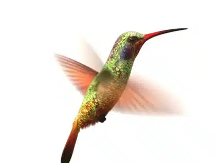 Logando Content Erstellung - Visualisierungen und Animation - Animationen erstellen