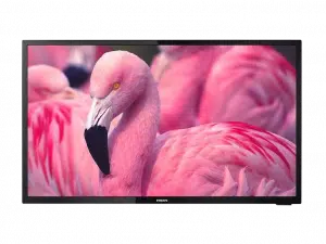 Flachbildfernseher, Modellname nicht sichtbar, zeigt ein gestochen scharfes Bild von mehreren pinken Flamingos, mit einem zentralen Flamingo im Fokus und unscharfen Vögeln im Hintergrund - ideal zum Mieten oder Kaufen.