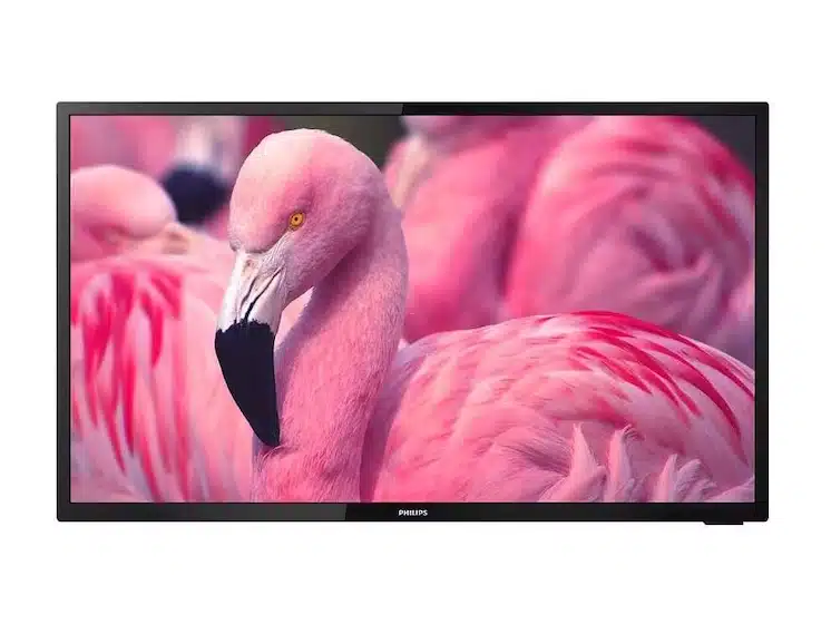 Philips Fernseher mit schlankem schwarzem Rahmen, auf dem Bildschirm ist ein lebendiges Bild eines pinken Flamingos vor unscharfem Hintergrund zu sehen; das Philips-Logo befindet sich mittig am unteren Rand - ideal zum Kaufen oder Mieten.