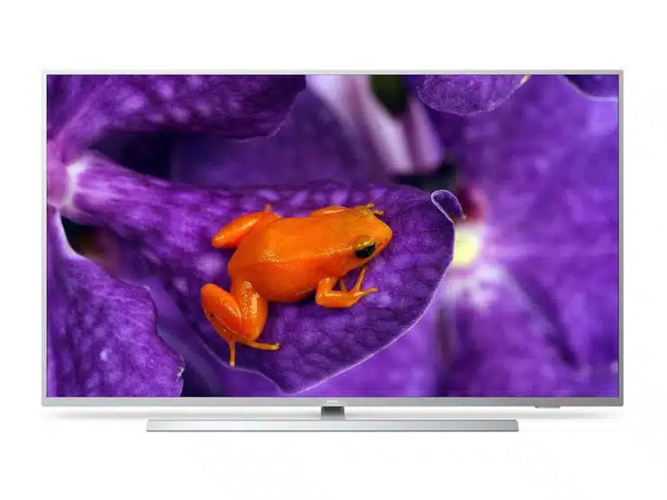Moderner Fernseher zeigt ein scharfes, farbenfrohes Bild eines orangefarbenen Froschs auf einer leuchtend violetten Blume mit strukturierten Blütenblättern - ideal zum Mieten oder Kaufen als Blickfang für das Wohnzimmer.