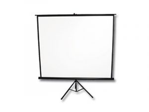 Stativleinwand - Celexon 244 x 183cm AP (Demoware) kaufen