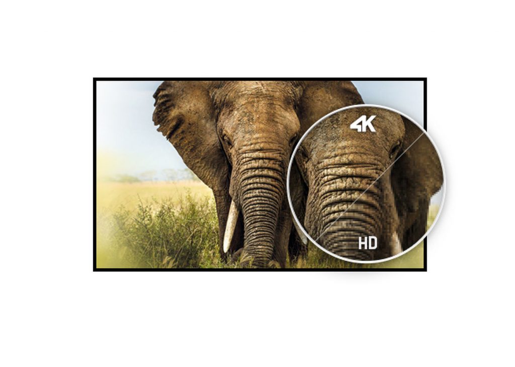 Der 27 Zoll UHD Monitor iiyama XUB2792UHSU-B6 zeigt Elefant mit Klarheitsvergleich: 4K vs. HD, 4K ist sichtbar schärfer.