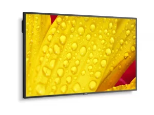 Samsung-Flachbildfernseher mit gestochen scharfem Display, der eine Nahaufnahme eines gelben Blütenblatts mit Wassertropfen zeigt. Ideal für eine detailreiche Farbwiedergabe und brillante Bildqualität.