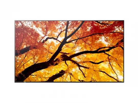 Der Samsung-Flachbildfernseher zeigt auf dem Bildschirm ein herbstliches Bild von Baumzweigen mit leuchtend orange-gelben Blättern vor hellem Himmel.